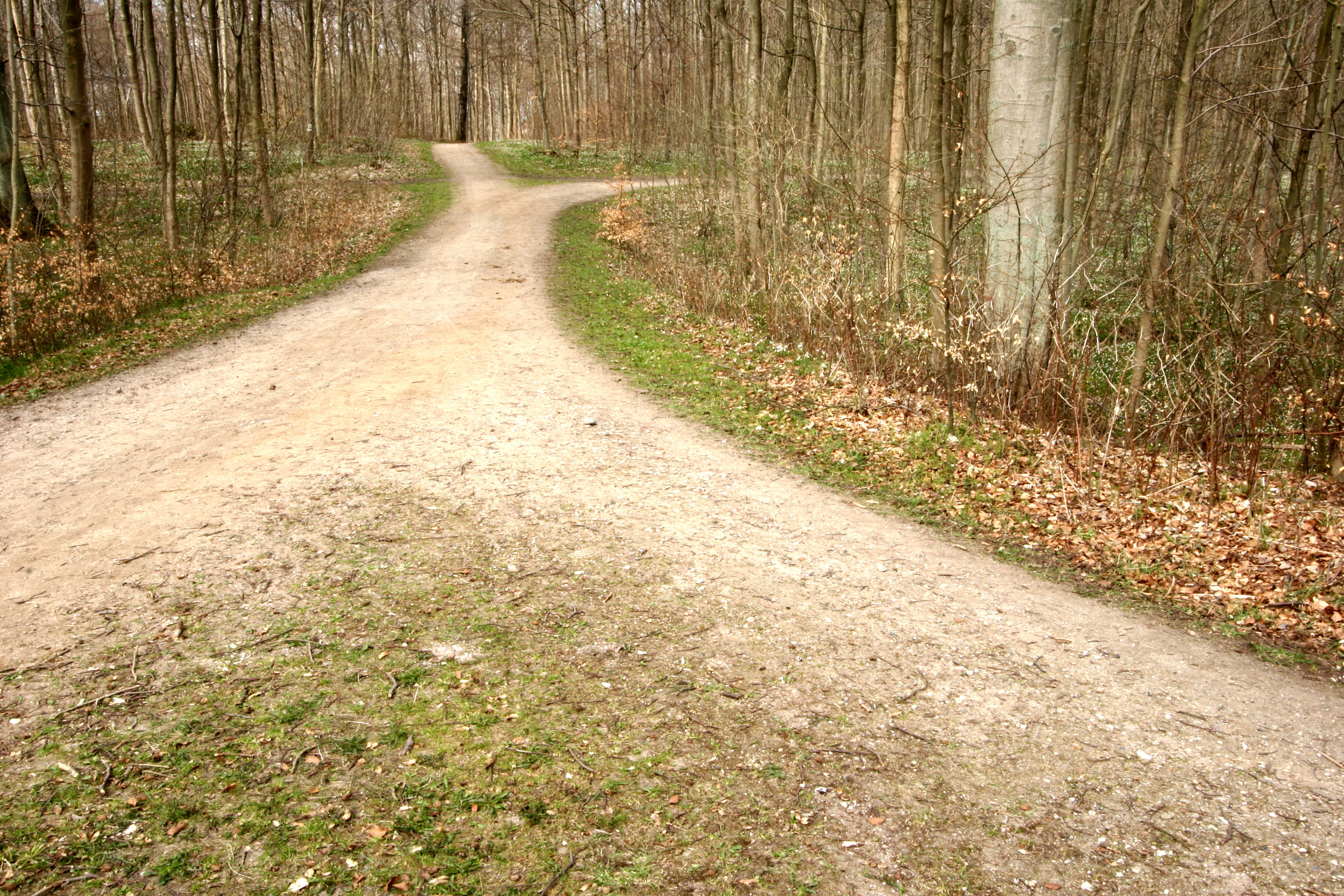 Rendszerszintű elengedést jelképező nyitott tér és szétváló utak