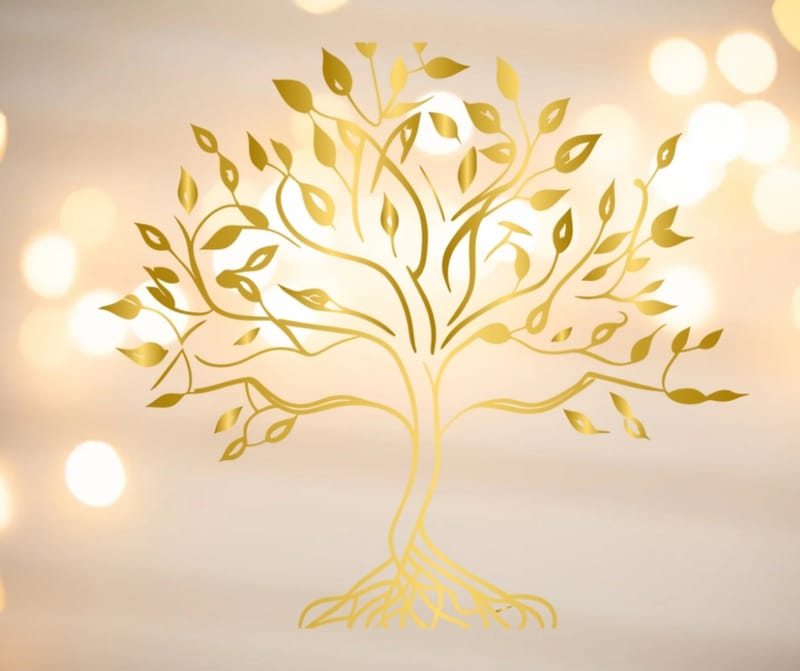 ΣΥΣΤΗΜΙΚΗ ΑΝΑΠΑΡΑΣΤΑΣΗ