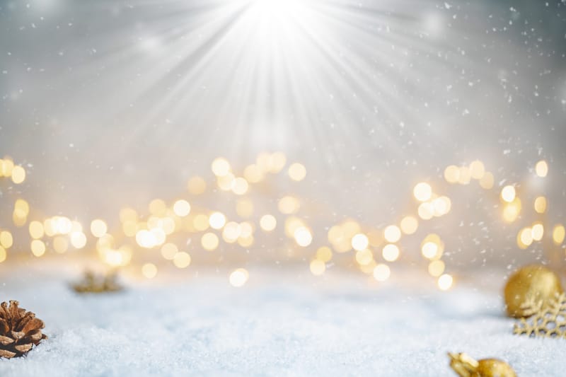 Ιεραρχία της Πατρογονικής Οικογένειας