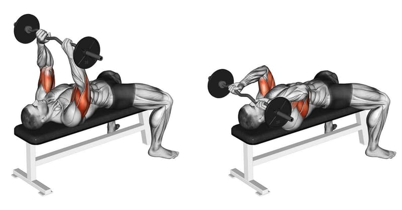 Presă pentru Triceps (Triceps Pushdown)