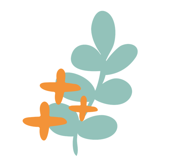 Reconnecting With Creativity