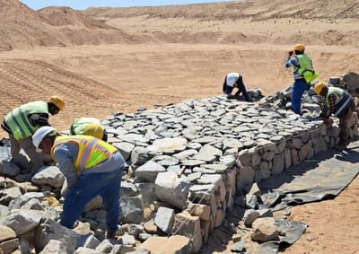 مشروع امالا البحر الاحمر 
