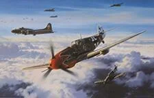 Eagle Attack by Nicolas Trudgian