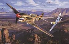 Duel in the Desert by Nicolas Trudgain