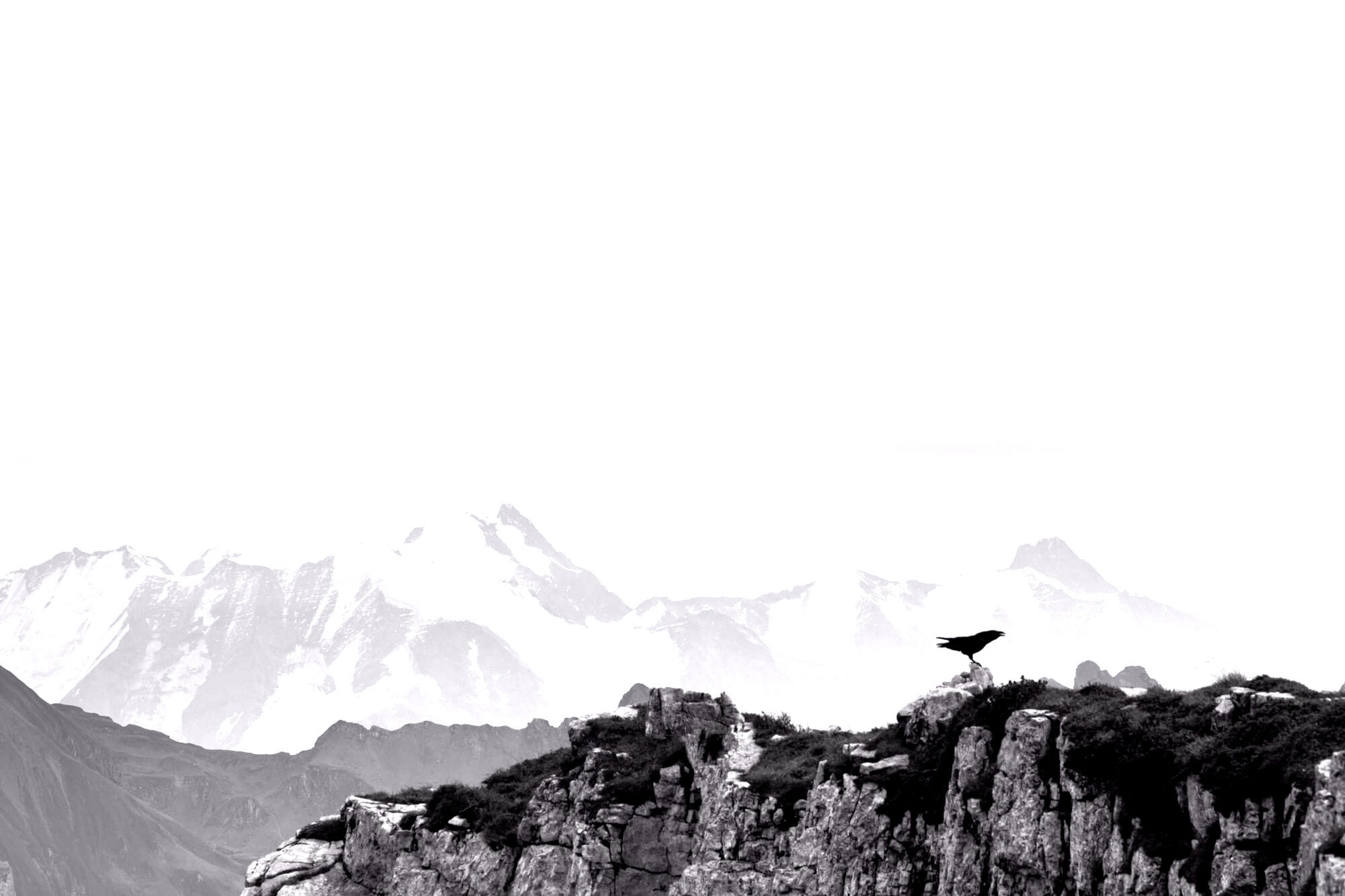 The altitude men