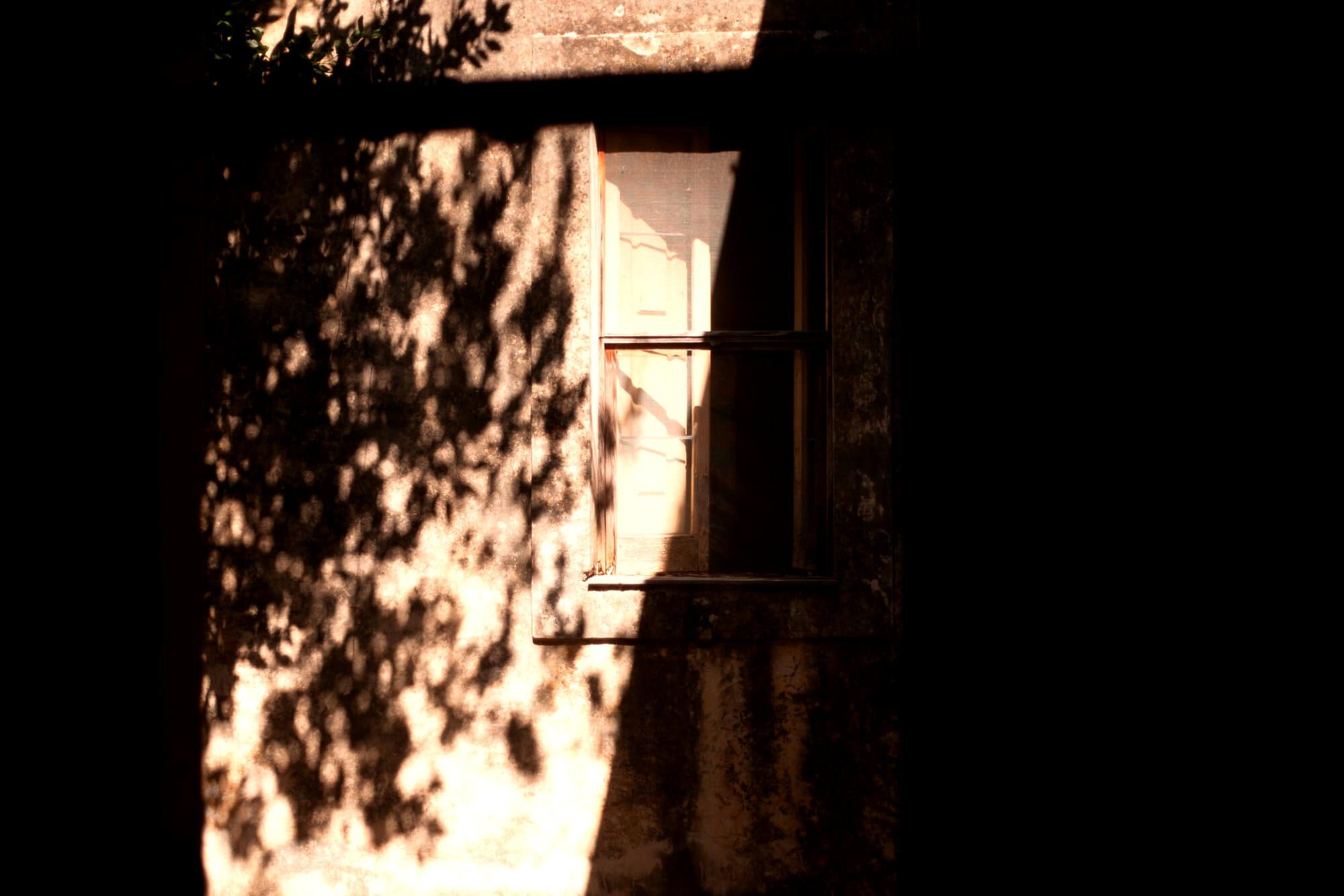 The House