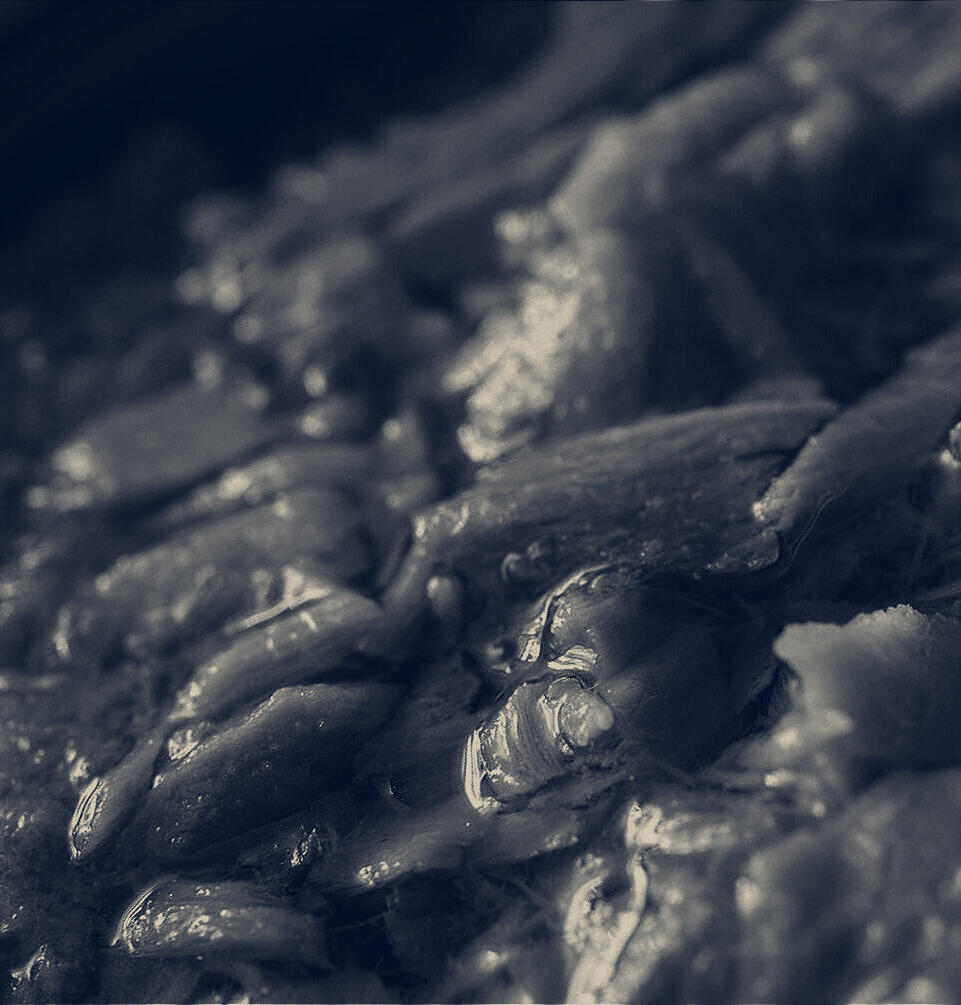 The pale catch