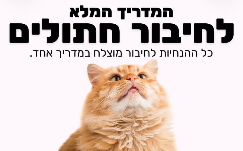 המדריך לחיבור חתולים - מדריך PDF לקריאה עם קטעי וידיאו להמחשה