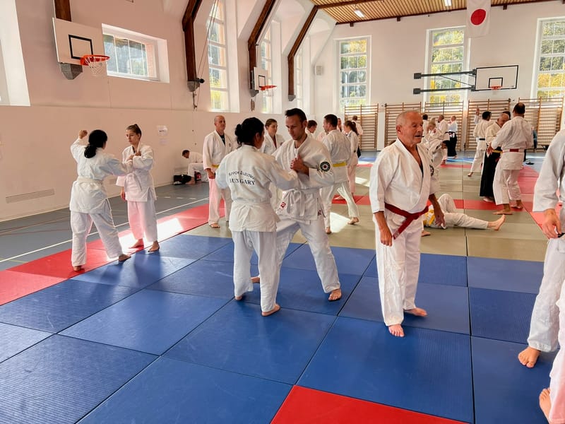 EJJU Jujutsu Szeminárium, Chur (Svájc) 2024.10.25-26.