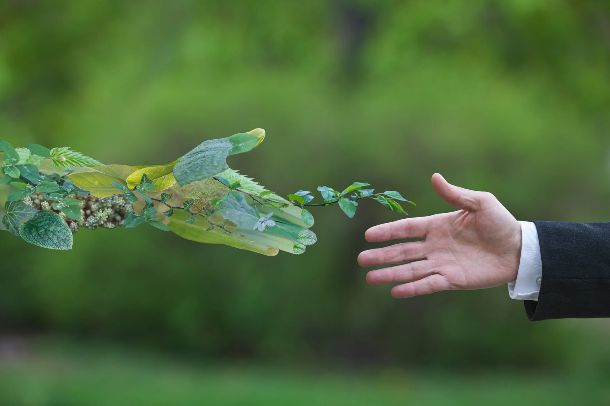 ECOLOGIA E SOSTENIBILITA'