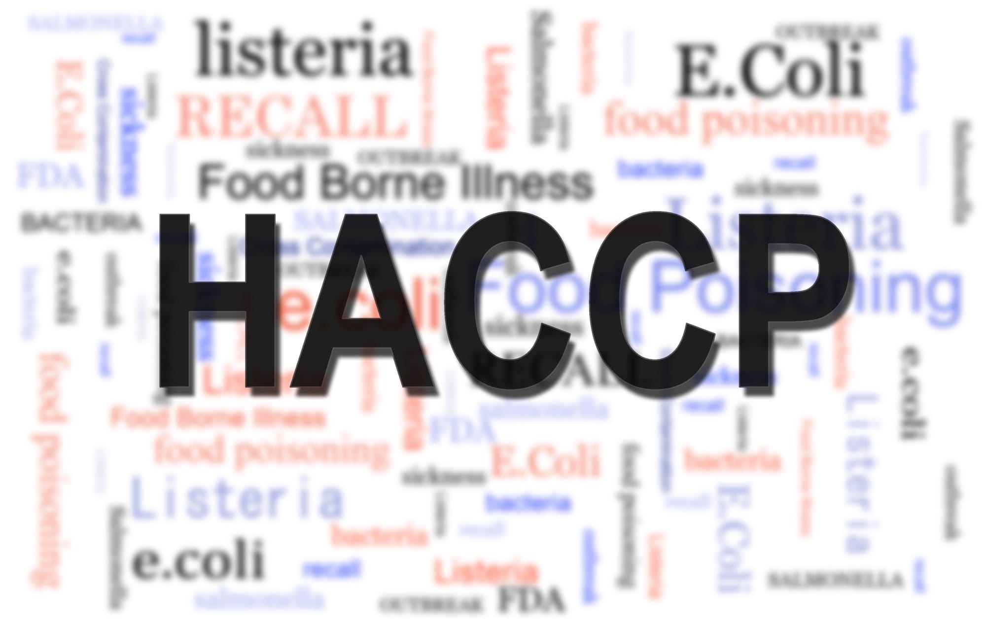 Mit értünk HACCP alatt?