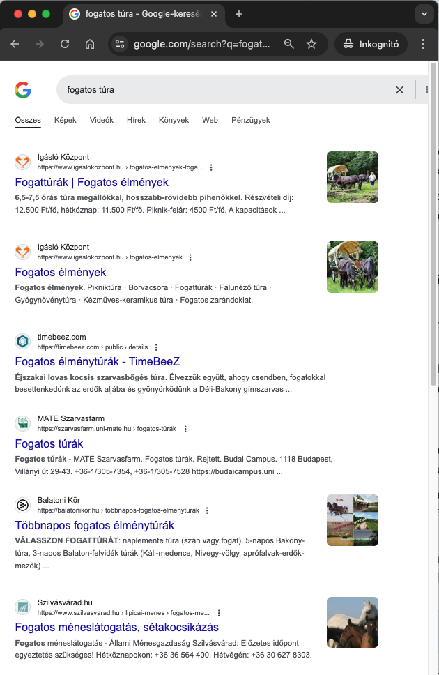 Igásló Központ a Google találatok élén