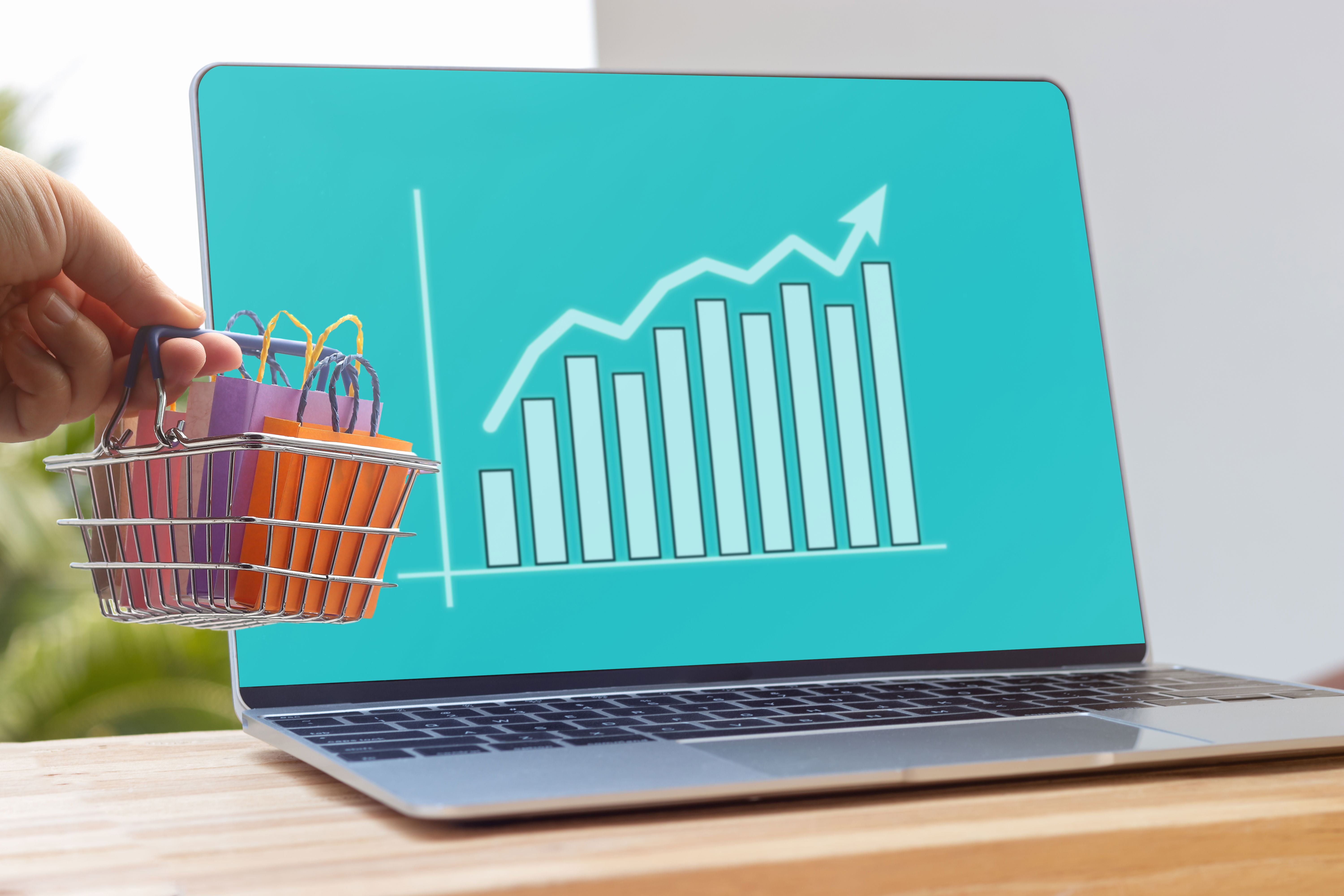 WebShop, Hírlevél, Statisztika