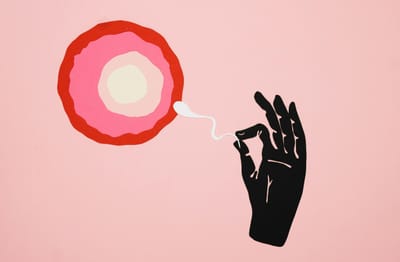 捐贈卵子者表格