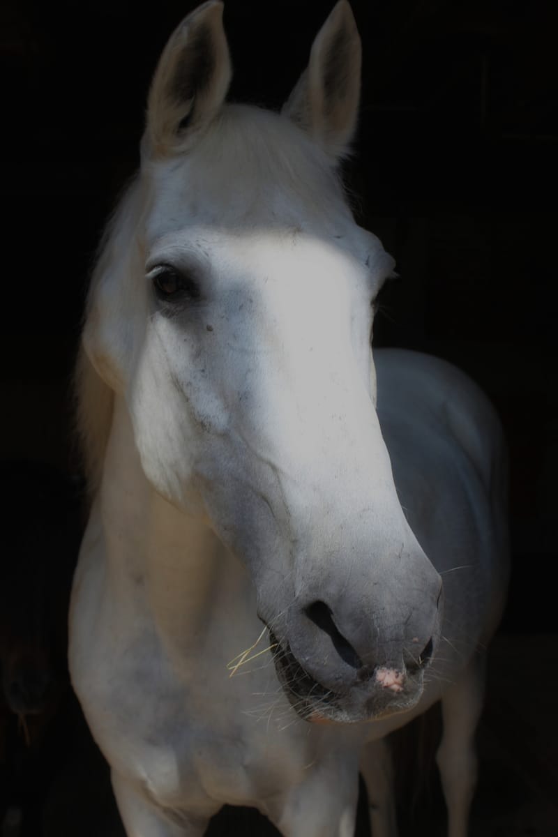 Referenzbilder verschiedener Aufträge