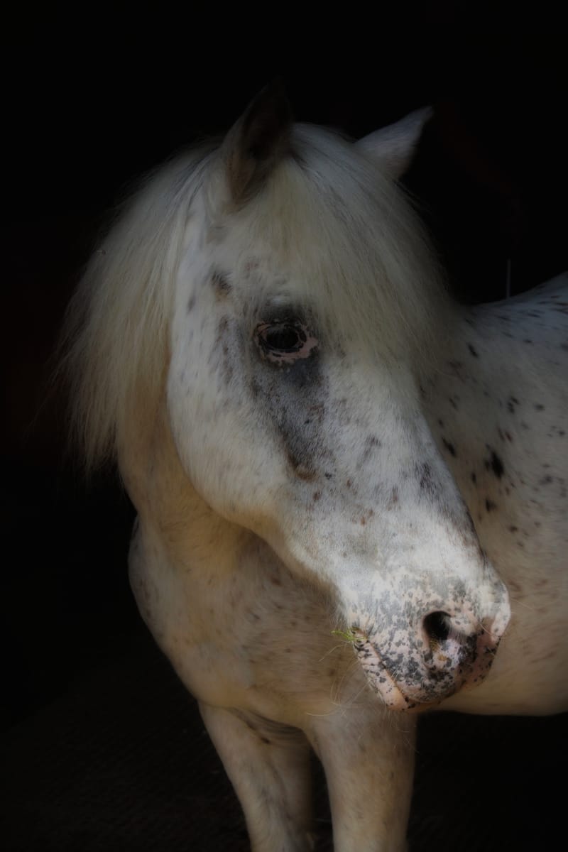Referenzbilder verschiedener Aufträge