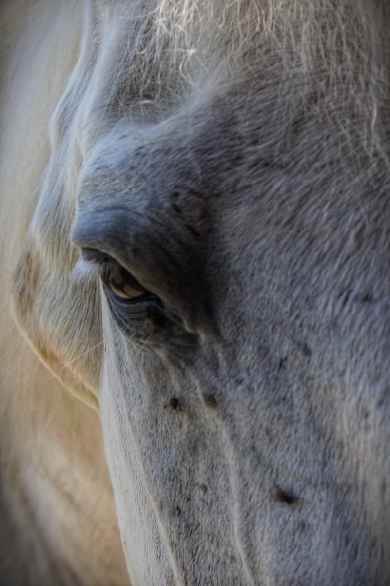 Referenzbilder verschiedener Aufträge