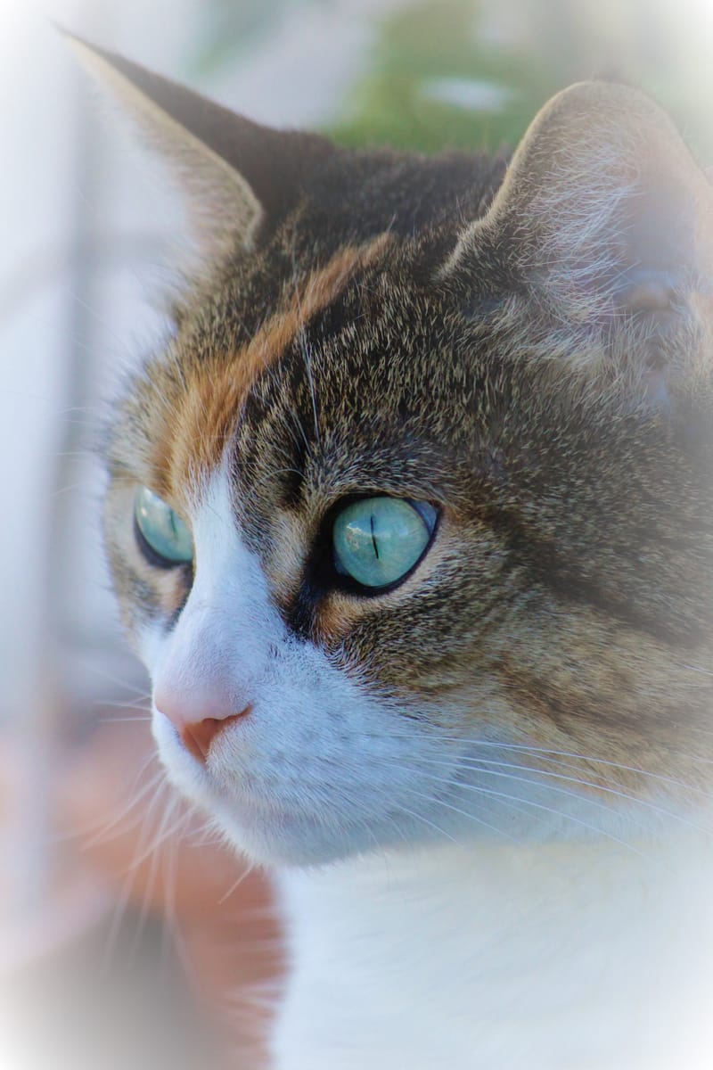 Referenzbilder verschiedener Aufträge