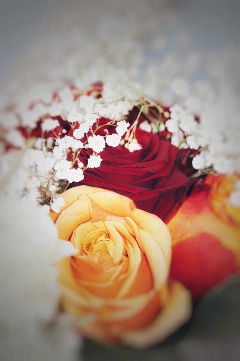 Referenzbilder verschiedener Aufträge