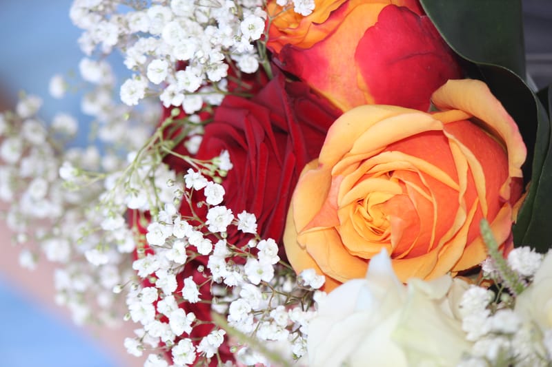 Referenzbilder verschiedener Aufträge