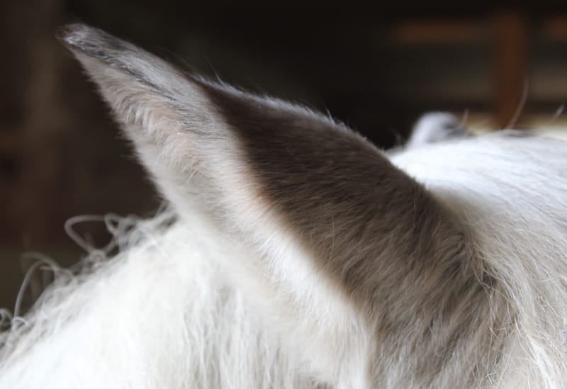 Referenzbilder verschiedener Aufträge