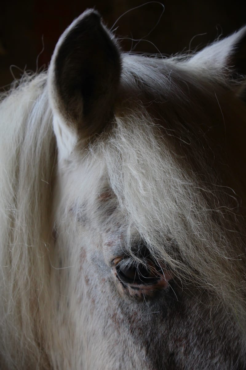 Referenzbilder verschiedener Aufträge