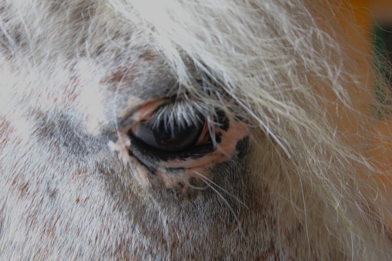 Referenzbilder verschiedener Aufträge