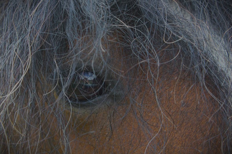 Referenzbilder verschiedener Aufträge