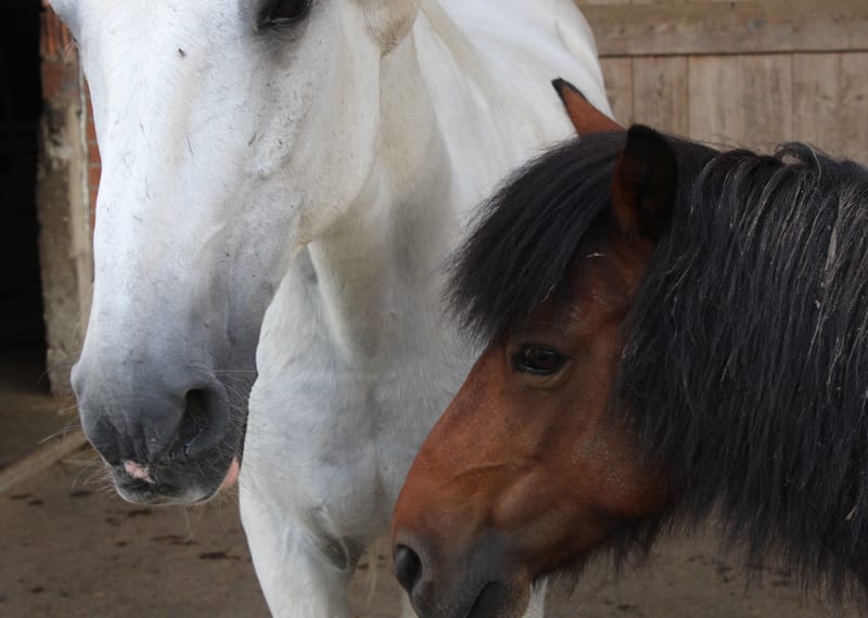 Referenzbilder verschiedener Aufträge