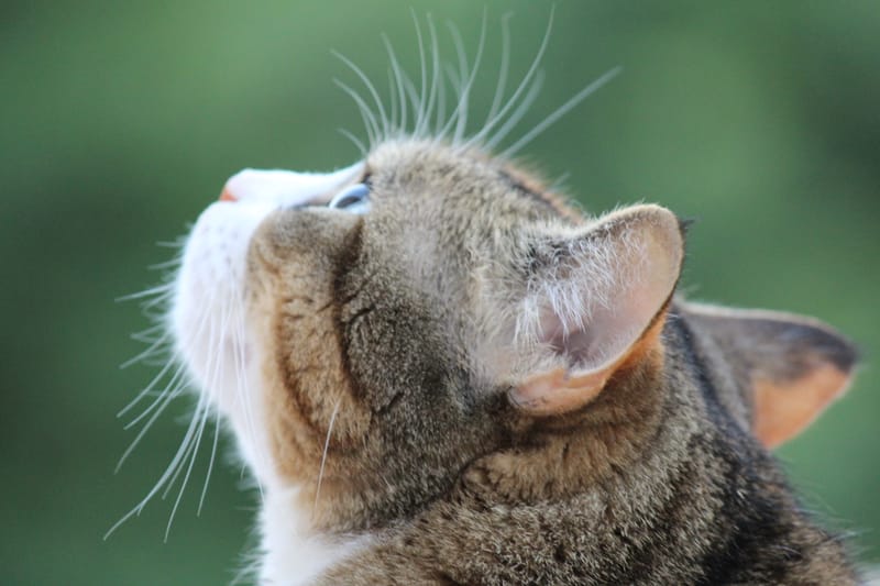 Referenzbilder verschiedener Aufträge