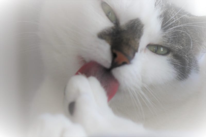 Referenzbilder verschiedener Aufträge