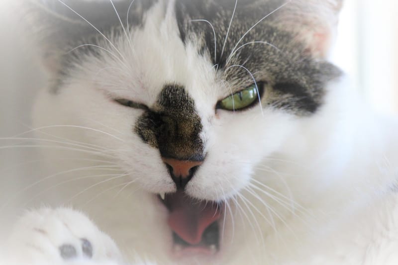 Referenzbilder verschiedener Aufträge