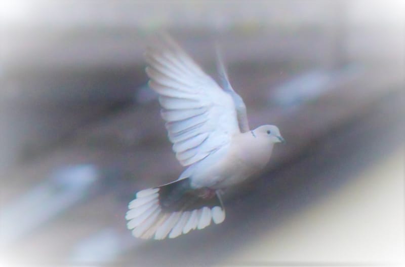 Referenzbilder verschiedener Aufträge