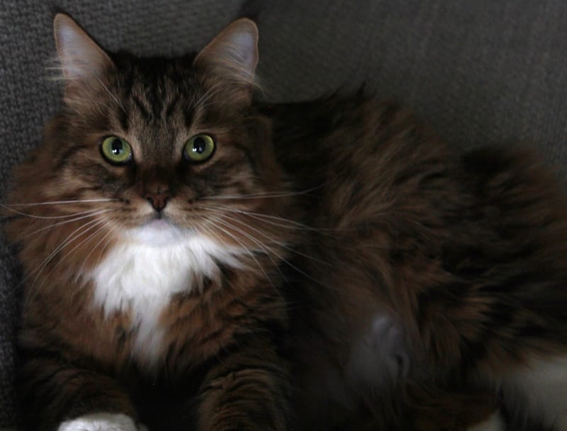 Referenzbilder verschiedener Aufträge