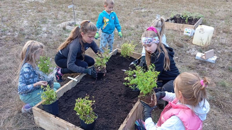 Współpraca popłaca - wioska aktywnych serc na świeżym powietrzu - Działaj Lokalnie 2024 - Spotkanie III