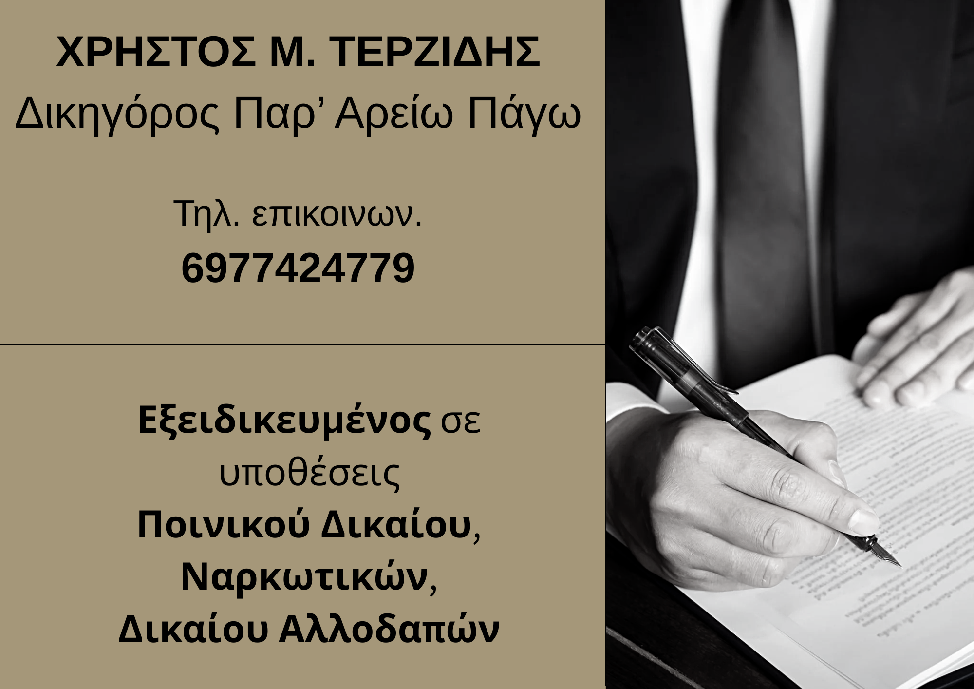 Δικηγόρος Παρ' Αρείω Πάγω εξειδικευμένος σε Ποινικό Δίκαιο και Δίκαιο Αλλοδαπών.