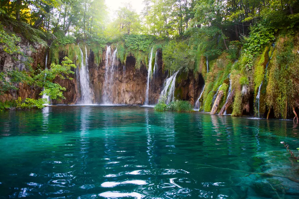 Általános tudnivalók