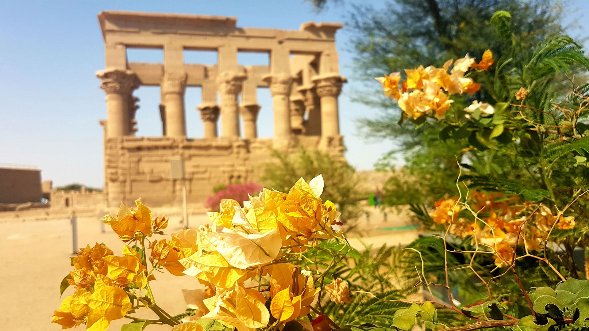 Egyiptom közlekedése