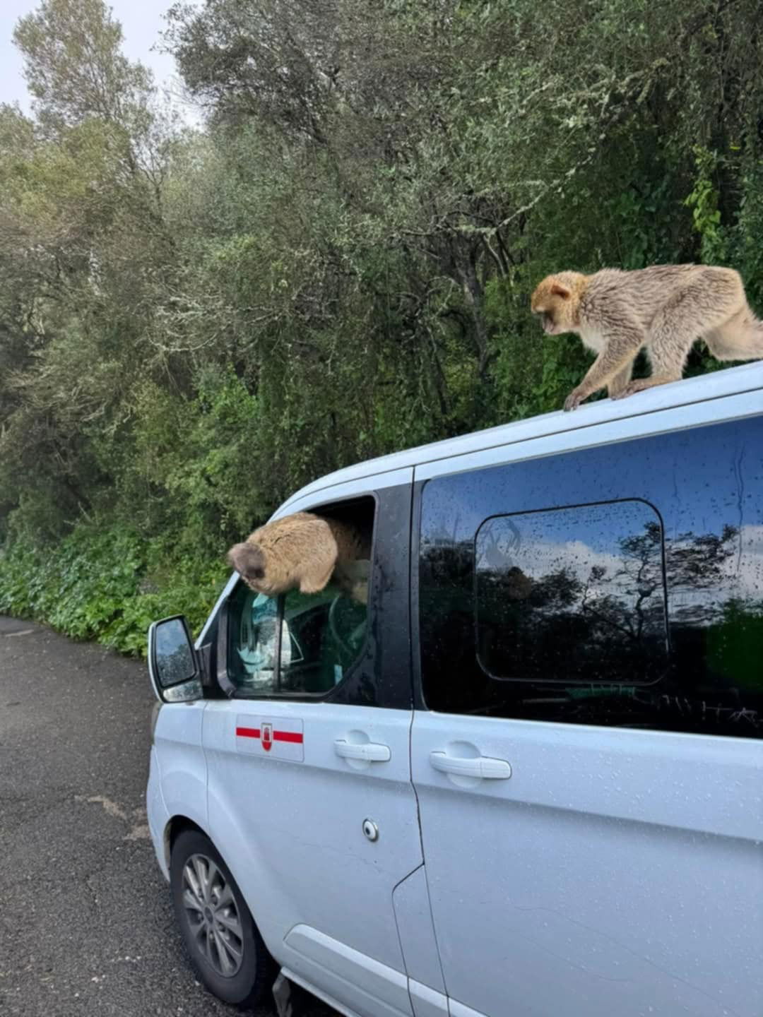 Malaga ( Andalúzia ) 