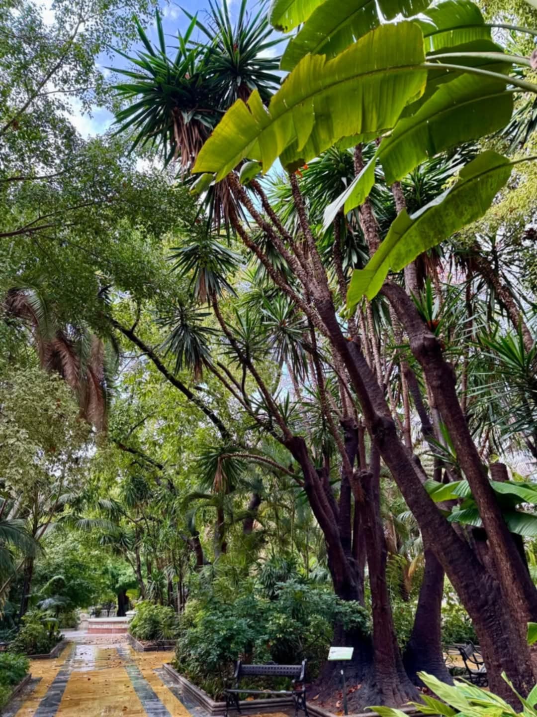 Malaga ( Andalúzia ) 