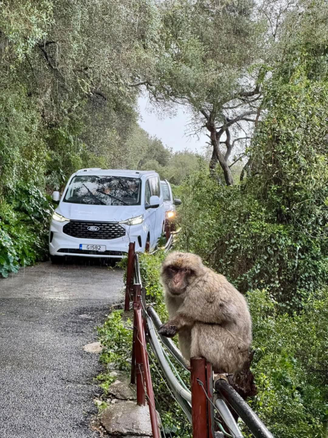 Malaga ( Andalúzia ) 