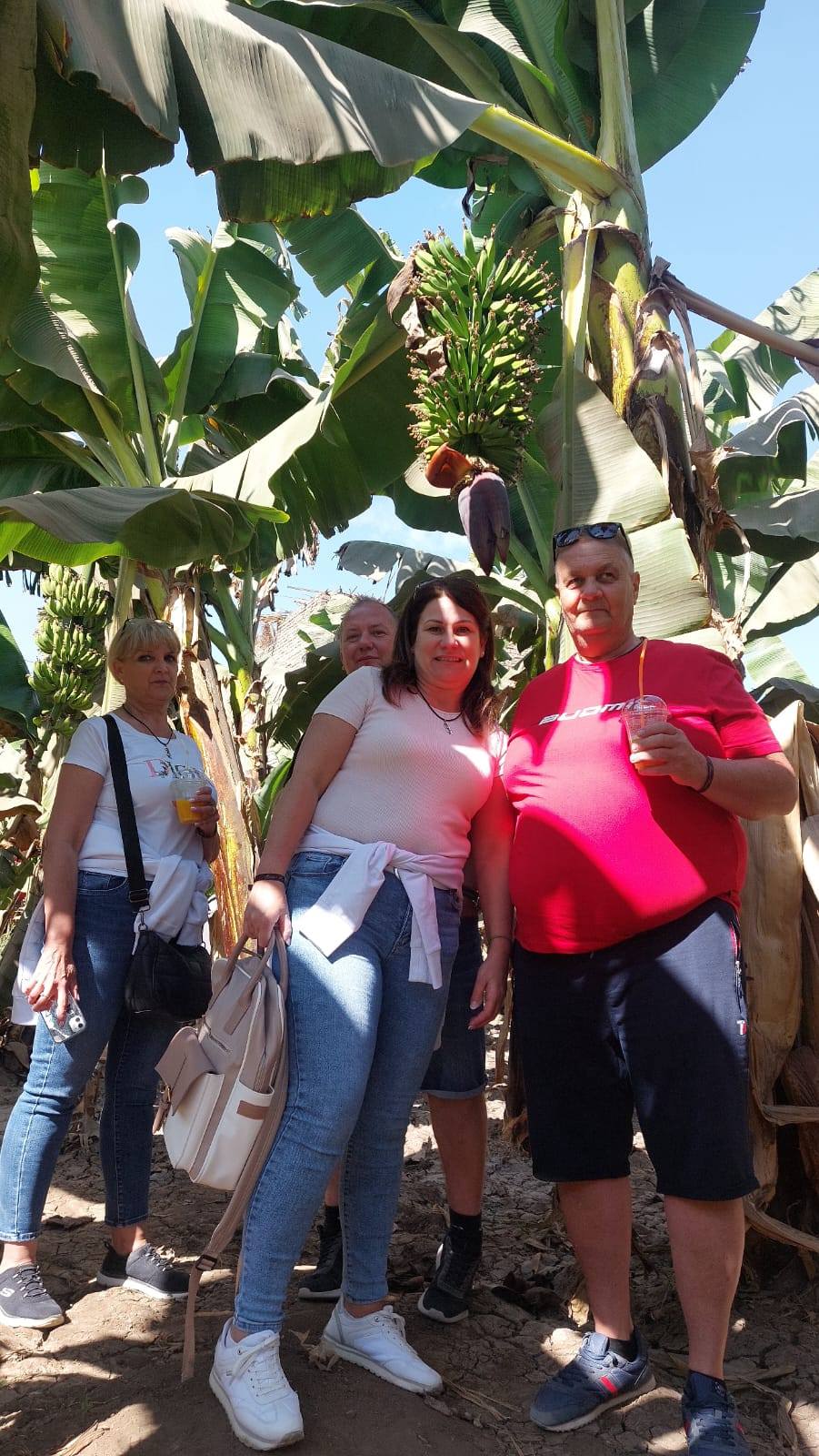 Szállás, programok, transzfer.