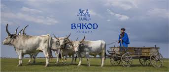 Bakod puszta Lovas program, kocsikázás, Tájház paprika! Aug 23-án.