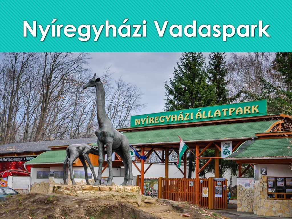 Tölts egy napot az unokáddal a Nyíregyházi állatparkban 👩‍👦Augusztus 28