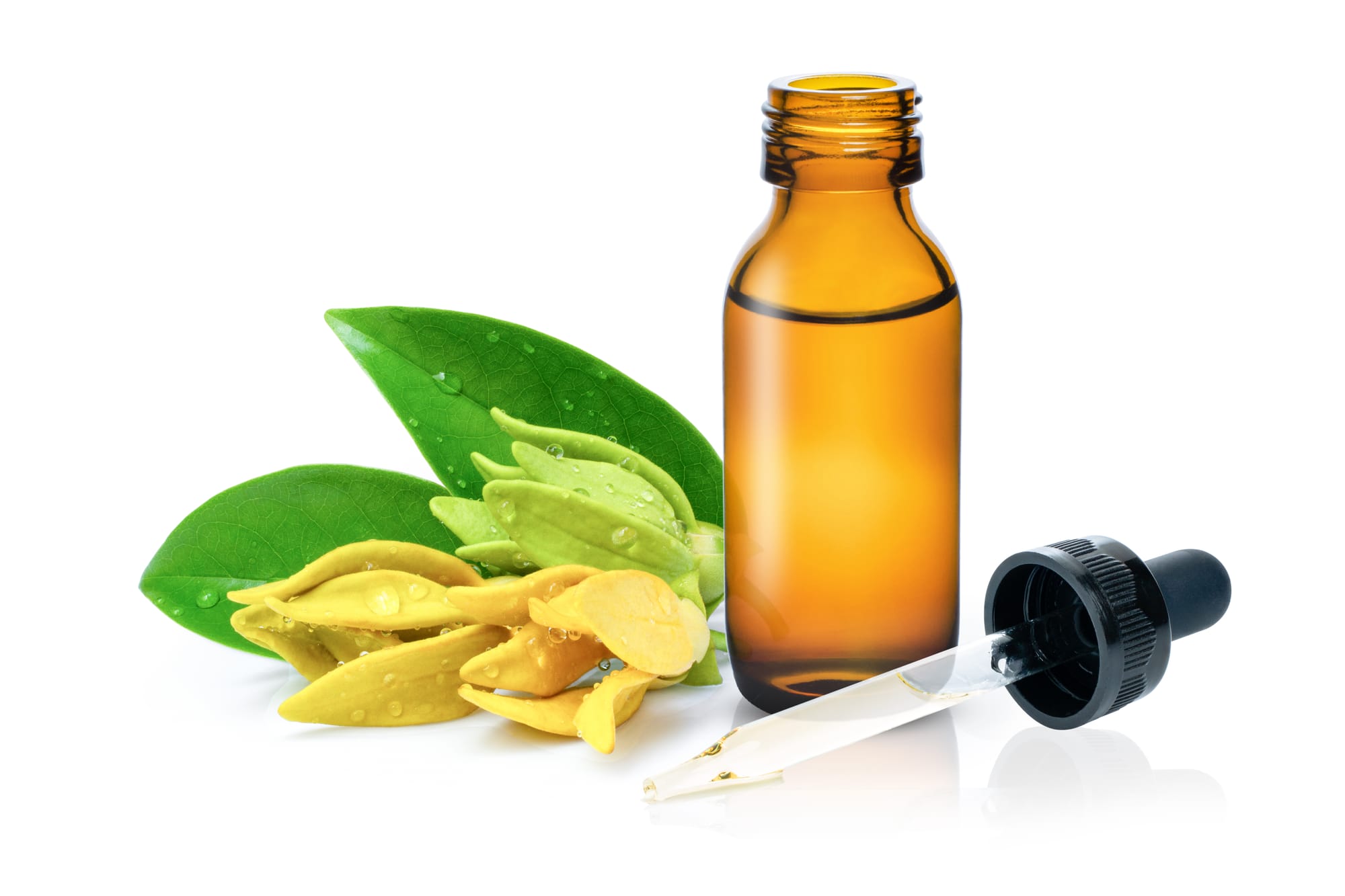 The Benefits of Ylang Ylang Essential Oil for Stress and Relaxation