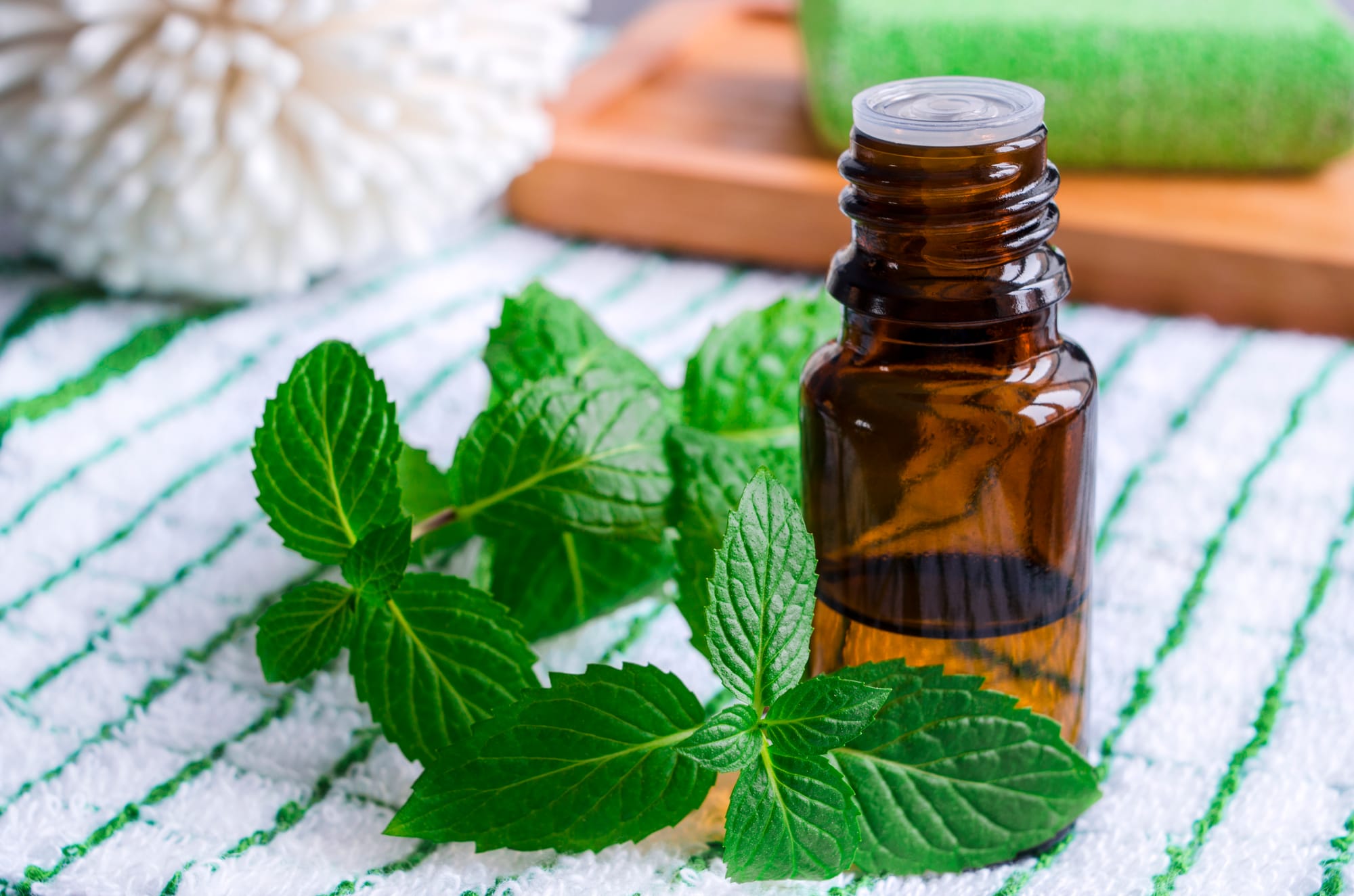 Benefits of Peppermint Essential Oil Beyond Aromatherapy