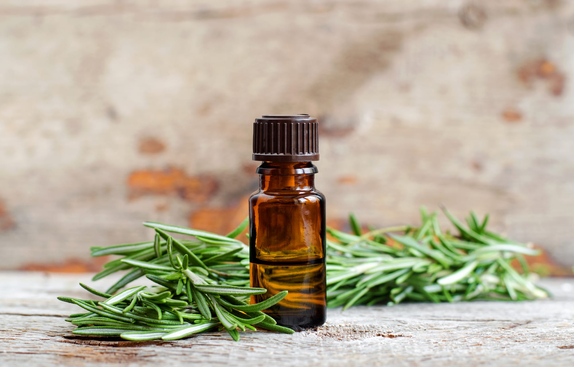 Rosemary Essential Oil Benefits for Relaxation and Focus