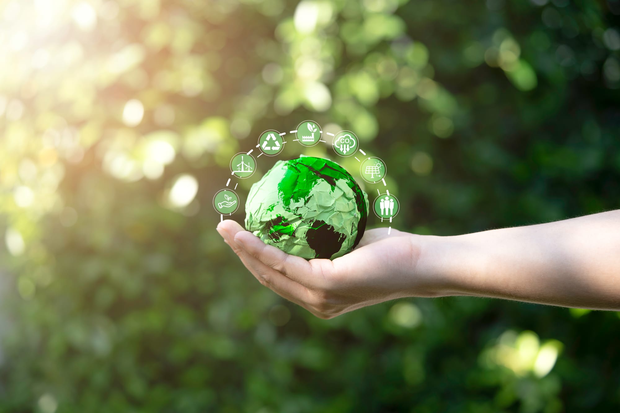 ISO 14001, The benefits of sustainability