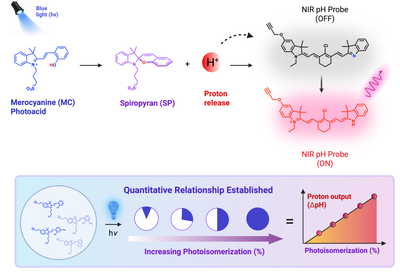 1.	Z. Nizar, N. K. Nayak, P. Anees* Quantitative Probing of Photoisomerization‐Driven pH Changes in Metastable‐State Merocyanine–Spiropyran Photoacids.
