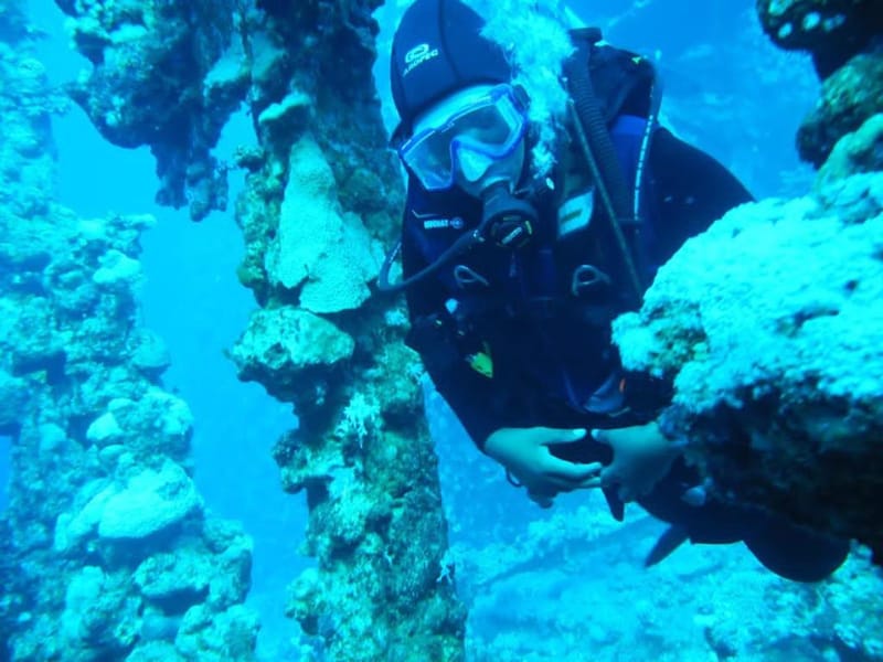 أفضل أماكن الغوص في البحر الأحمر في السعودية